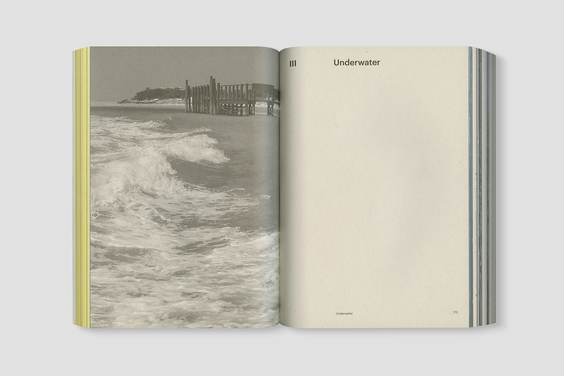 Exuma Engagement Report