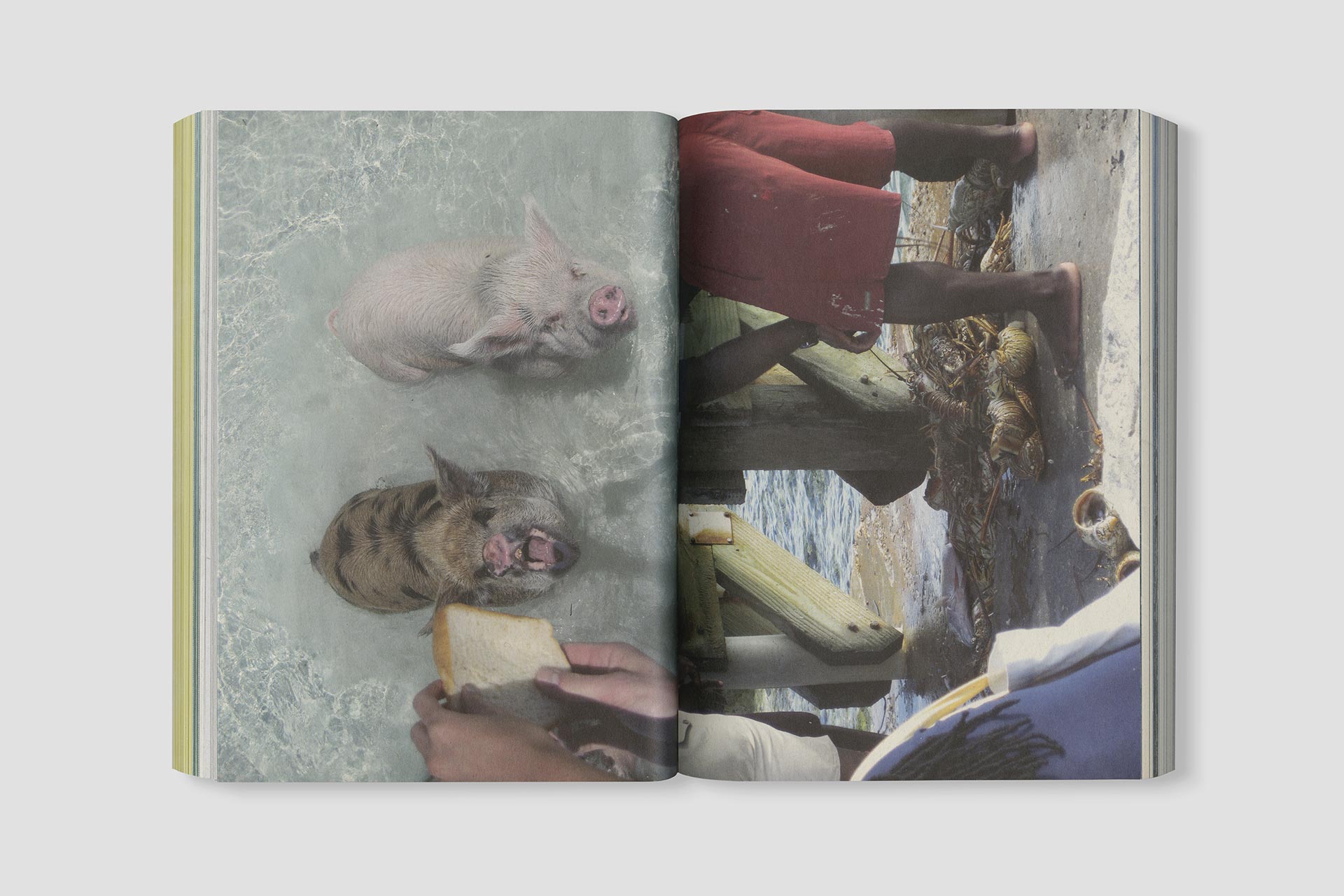 Exuma Engagement Report