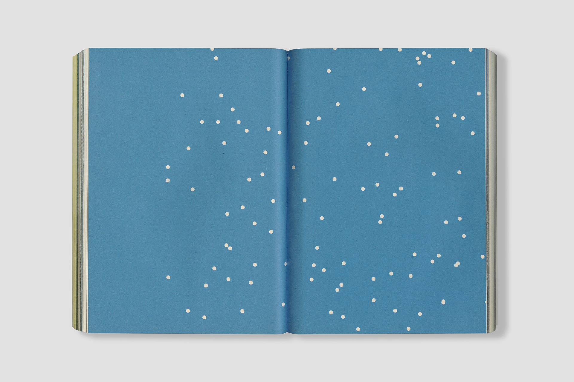 Exuma Engagement Report