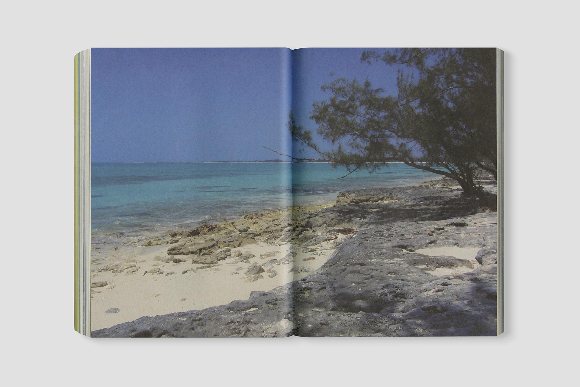 Exuma Engagement Report