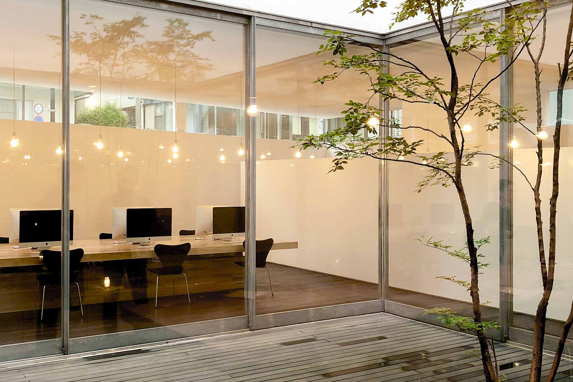 Japanese tea with Kashiwa